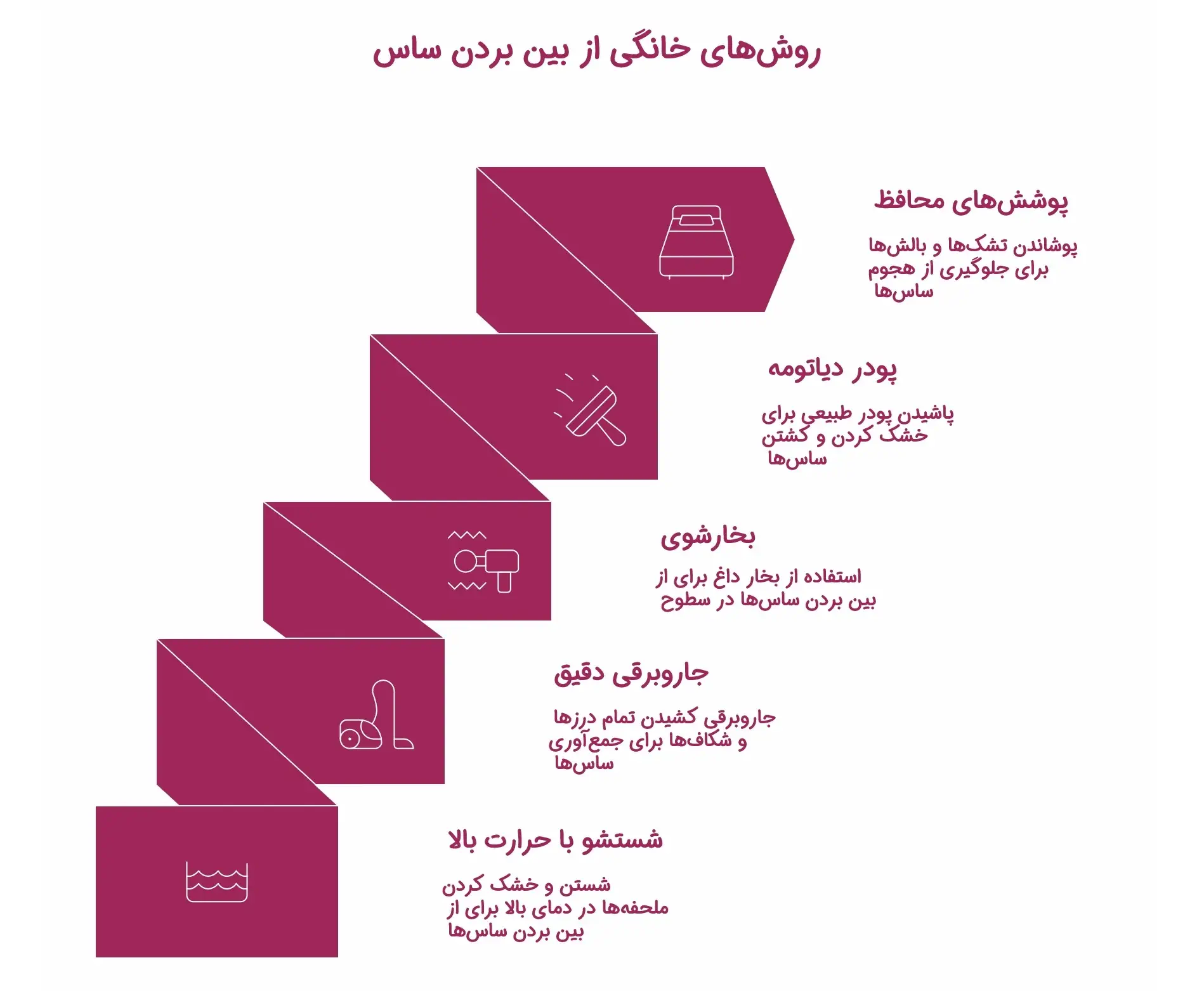 روش های خانگی از بین برد ساس