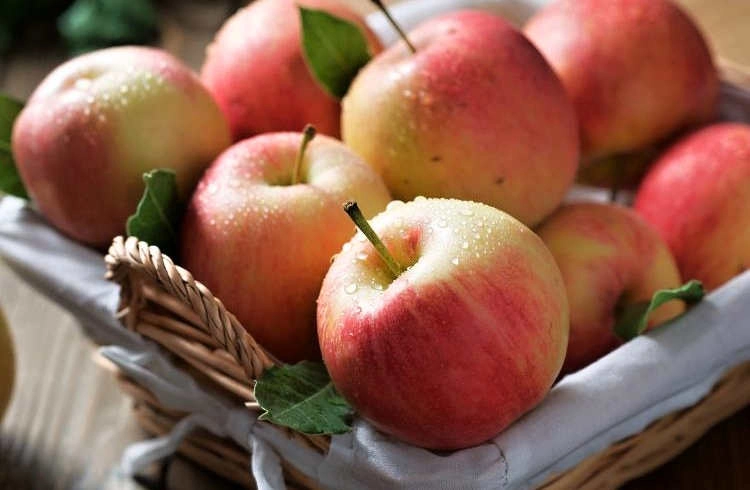 طبع و ترکیبات مغذی سیب